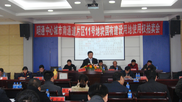 11號(hào)地塊國有建設(shè)用地使用權(quán)